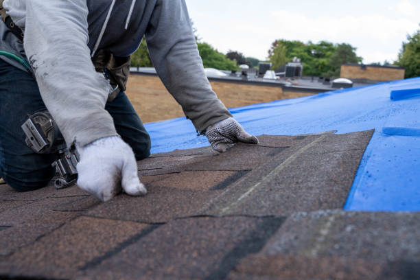 Best Roof Gutter Cleaning  in North Enid, OK